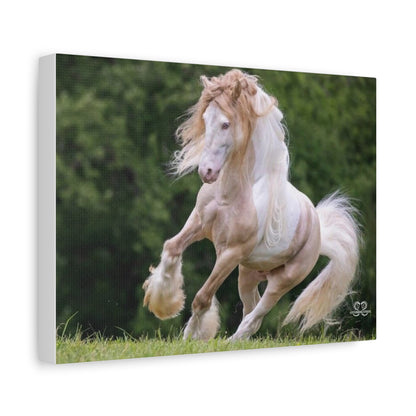 Equine Art Canvas Print, Horse Wall Decor, Equestrian Gift, Animal Lover Decor, Home Wall Art, Unique Gift Idea