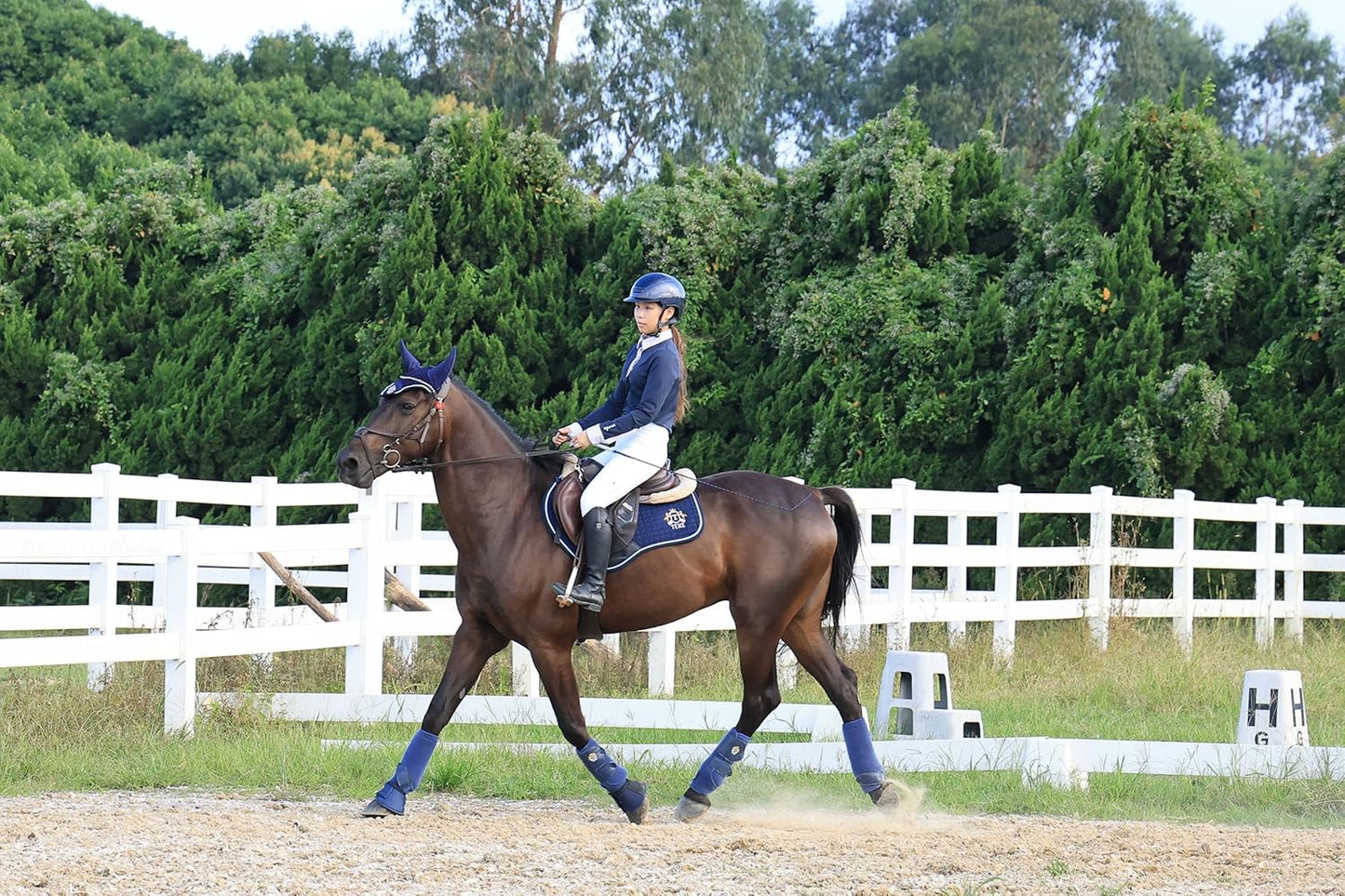 English Saddle Pad – 100% Cotton
