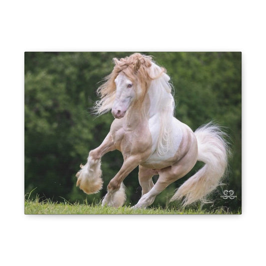 Equine Art Canvas Print, Horse Wall Decor, Equestrian Gift, Animal Lover Decor, Home Wall Art, Unique Gift Idea